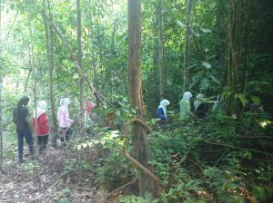 jungle trekking
